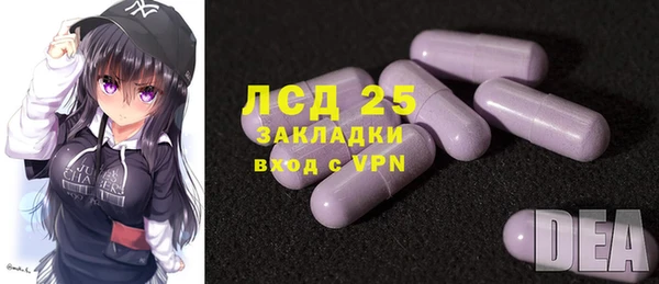 индика Богородск