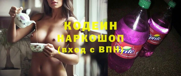 индика Богородск