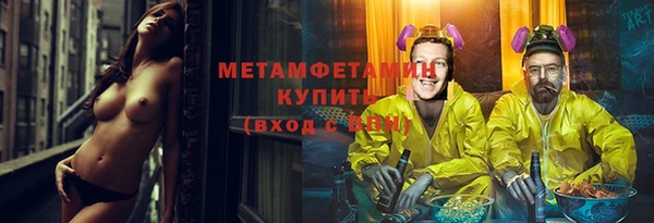 индика Богородск