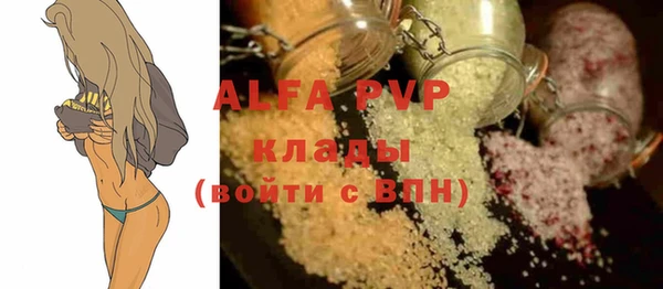 стаф Богданович