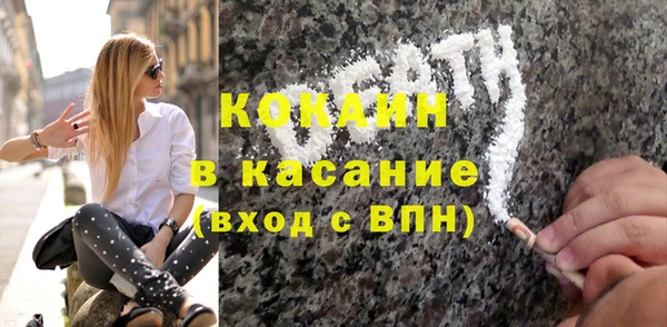 стаф Богданович