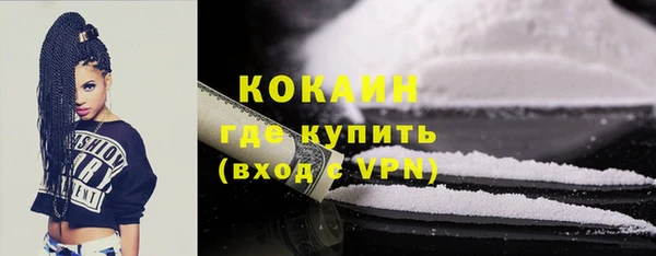 стаф Богданович