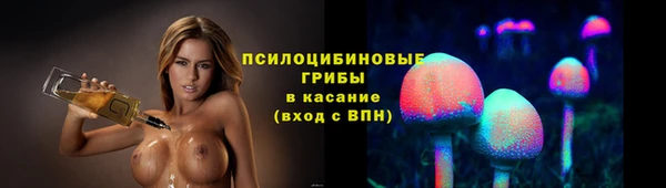 индика Богородск