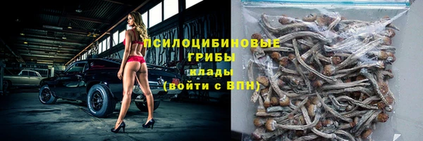 индика Богородск