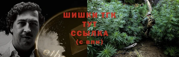 индика Богородск