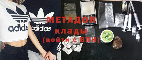 стаф Богданович