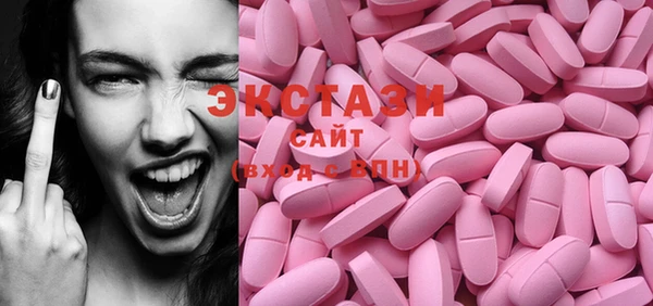 индика Богородск