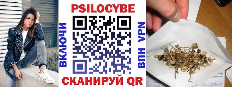 Псилоцибиновые грибы Psilocybe купить закладку Мураши